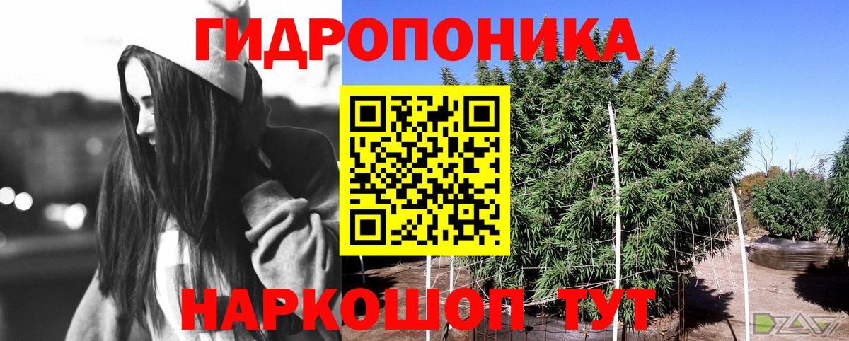 Бошки марихуана марихуана  Вход с VPN  Хабаровск  Марихуана Bruce Banner  Шишки марихуана Ganja 